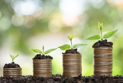 CDs, Stocks, or Savings Accounts? The Best Ways To Grow Your Money