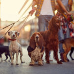 Low-Cost Side Hustles You Can Start This Weekend
